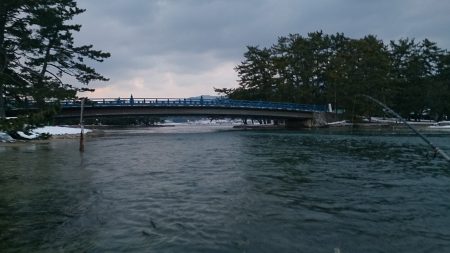 2015　初シーバス